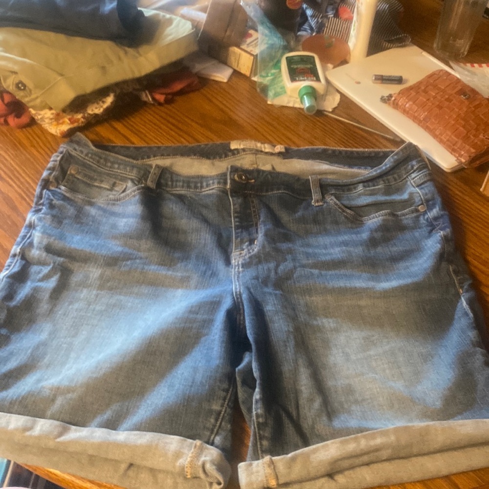 Torrid shorts